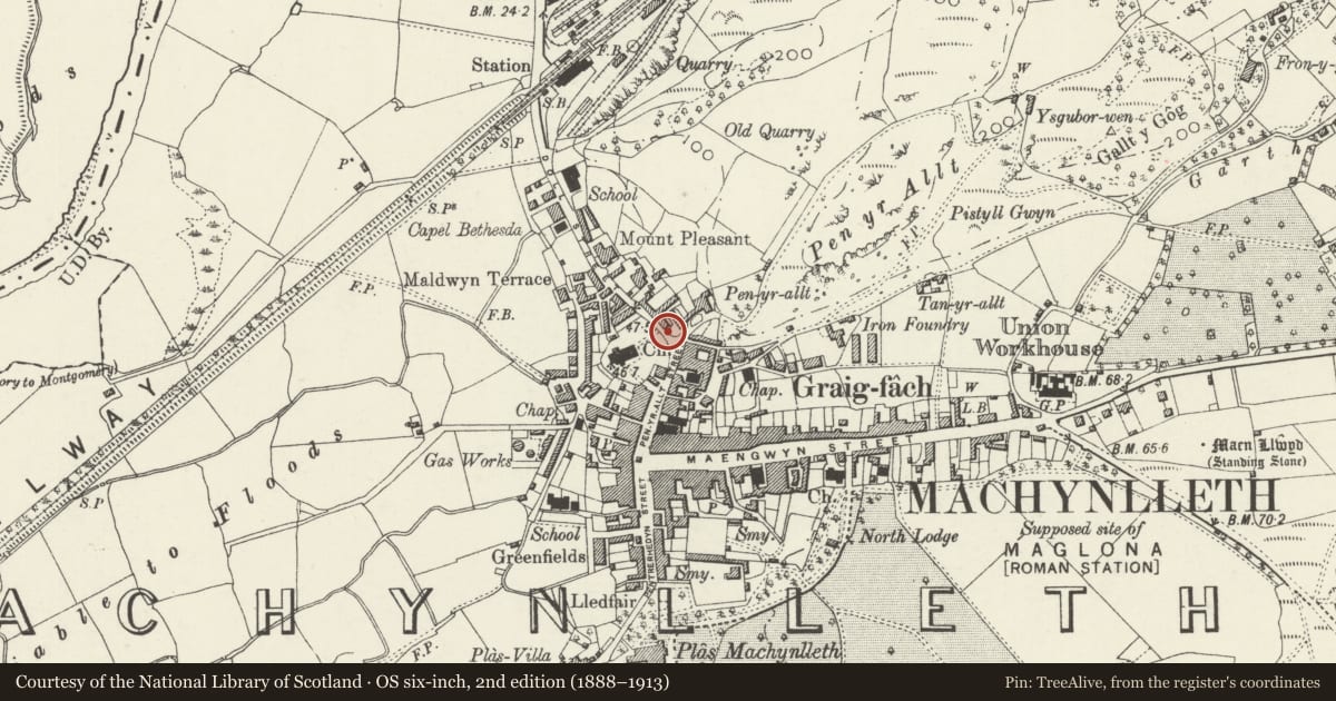 Ordnance Survey six-inch map, 2nd edition (1888–1913) covering the location of Boundary Walls and Railings to the East part of the Churchyard to the Parish Church of St. Peter, Machynlleth, Powys, with a pin at the register's coordinates