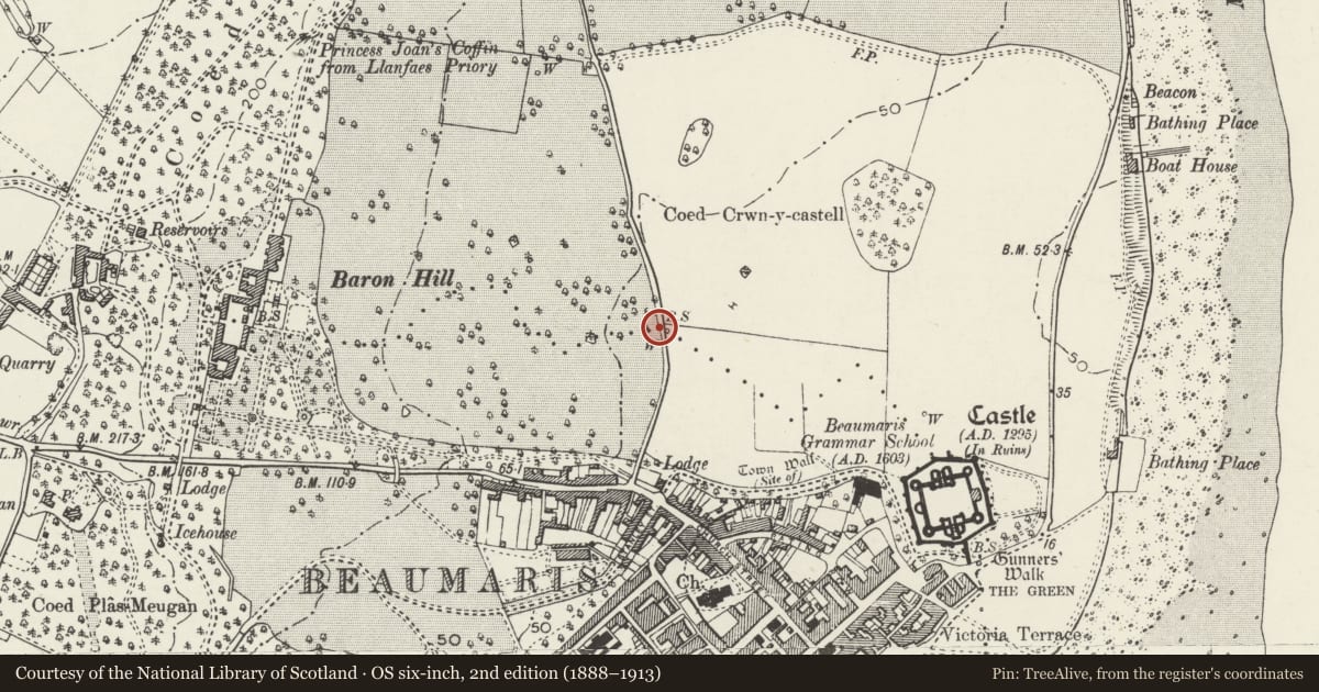 Ordnance Survey six-inch map, 2nd edition (1888–1913) covering the location of Boundary stone on Henllys Lane, Beaumaris, Isle of Anglesey, with a pin at the register's coordinates