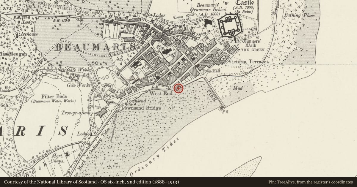 Ordnance Survey six-inch map, 2nd edition (1888–1913) covering the location of Chimney stack on sea wall at rear of 51 Castle Street, Beaumaris, Isle of Anglesey, with a pin at the register's coordinates