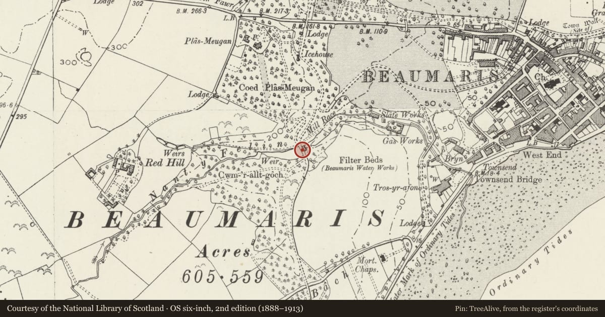 Ordnance Survey six-inch map, 2nd edition (1888–1913) covering the location of Dam and drive across Nant Meigan on Baron Hill estate, Beaumaris, Isle of Anglesey, with a pin at the register's coordinates