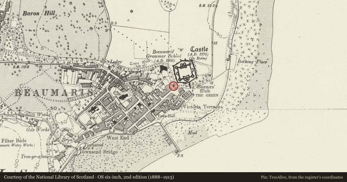 Ordnance Survey six-inch map, 2nd edition (1888–1913) covering the location of Gatepiers and Gates, Ticket office, Boundary Walls and Railings at Beaumaris Castle, Isle of Anglesey, with a pin at the register's coordinates