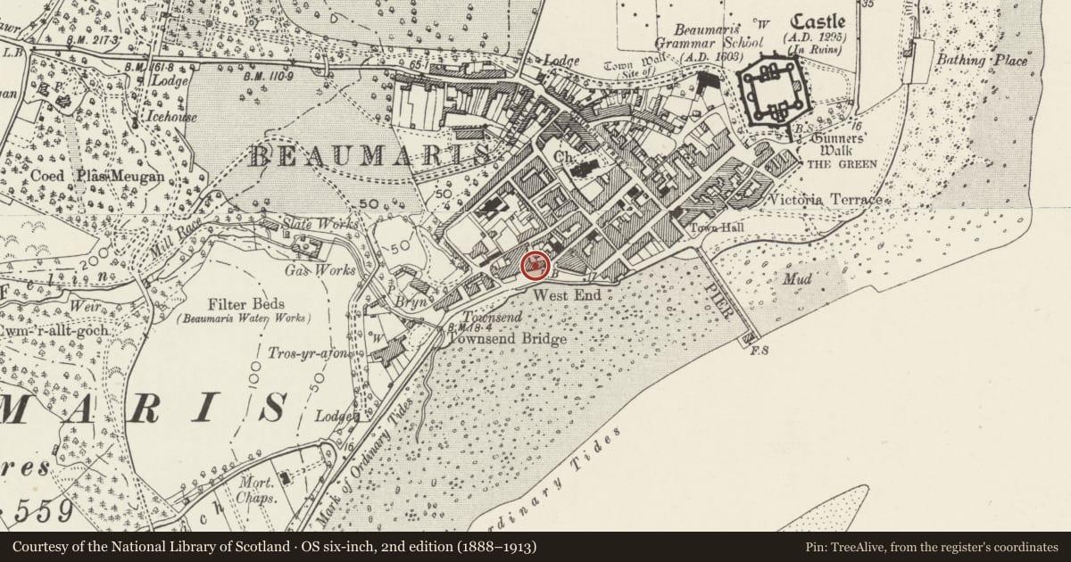 Ordnance Survey six-inch map, 2nd edition (1888–1913) covering the location of Min-y-Don, Beaumaris, Isle of Anglesey, with a pin at the register's coordinates