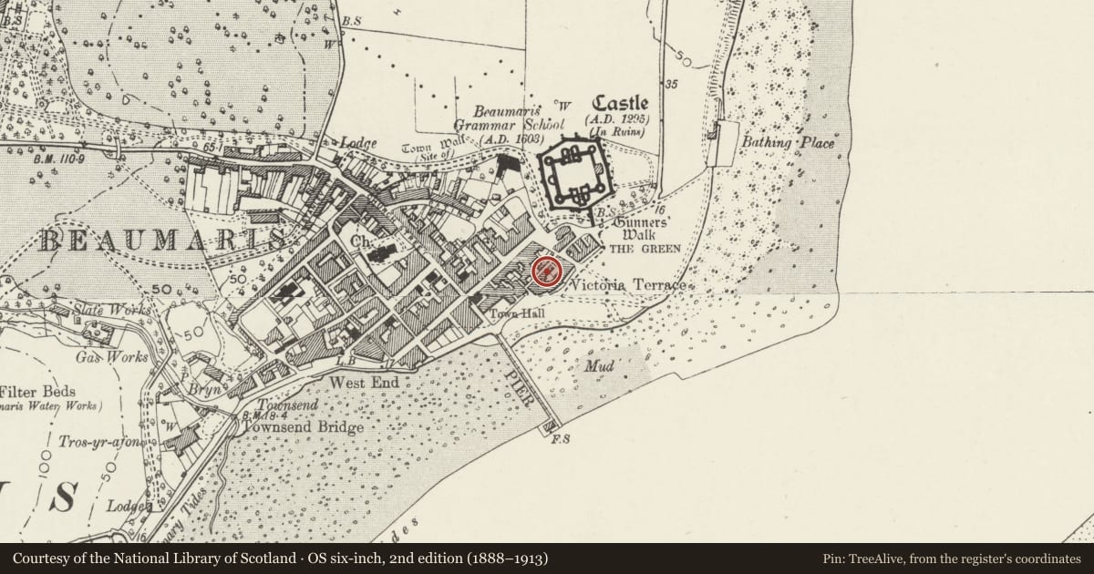 Ordnance Survey six-inch map, 2nd edition (1888–1913) covering the location of Store houses, garages and steps to the rear of Victoria Terrace, Beaumaris, Isle of Anglesey, with a pin at the register's coordinates