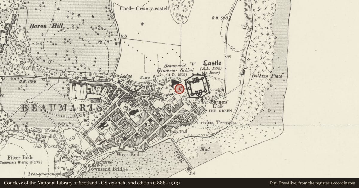 Ordnance Survey six-inch map, 2nd edition (1888–1913) covering the location of Pair of Town Pumps, Beaumaris, Isle of Anglesey, with a pin at the register's coordinates