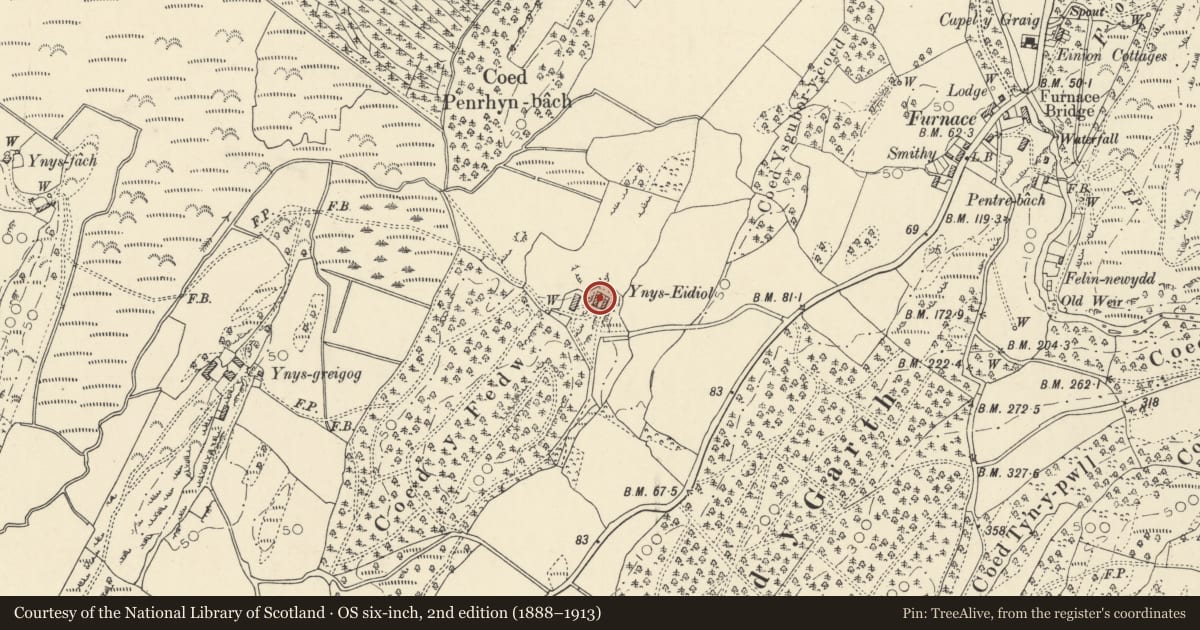 Ordnance Survey six-inch map, 2nd edition (1888–1913) covering the location of Barn and stable to E of Ynys Eidiol, Ysgubor-y-Coed, Ceredigion, with a pin at the register's coordinates