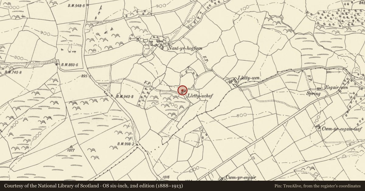 Ordnance Survey six-inch map, 2nd edition (1888–1913) covering the location of Lletty Uchaf, Cynwyl Gaeo, Carmarthenshire, with a pin at the register's coordinates