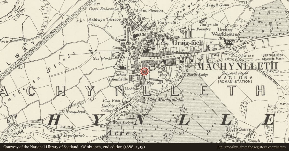 Ordnance Survey six-inch map, 2nd edition (1888–1913) covering the location of 19 Heol Pentrehedyn, Machynlleth, Powys, with a pin at the register's coordinates
