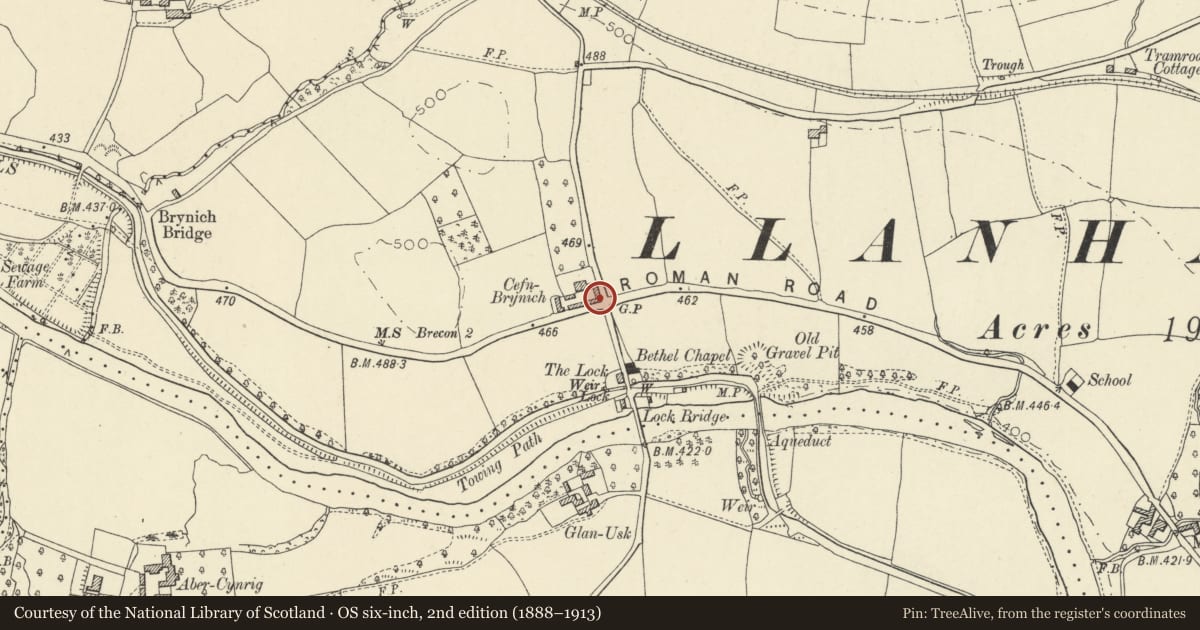 Ordnance Survey six-inch map, 2nd edition (1888–1913) covering the location of Barn range at Cefn Brynich, Llanfrynach, Powys, with a pin at the register's coordinates