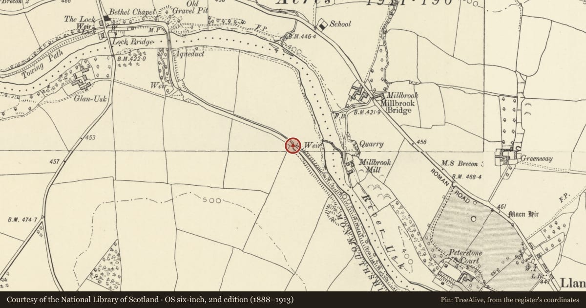 Ordnance Survey six-inch map, 2nd edition (1888–1913) covering the location of Canal Bridge No 161 Brecon & Abergavenny Canal, Llanfrynach, Powys, with a pin at the register's coordinates
