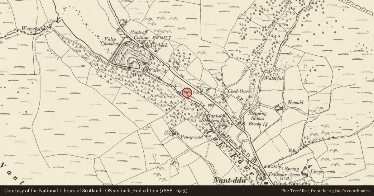 Ordnance Survey six-inch map, 2nd edition (1888–1913) covering the location of Cantref Water Filtration Plant, Llanfrynach, Powys, with a pin at the register's coordinates