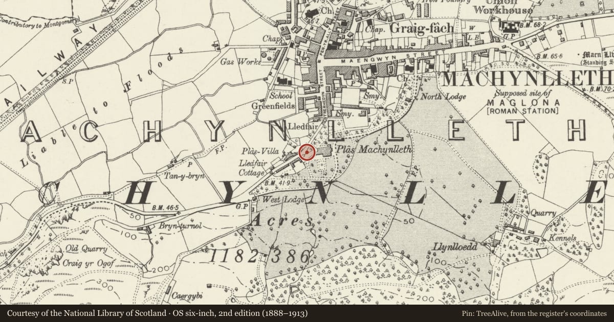 Ordnance Survey six-inch map, 2nd edition (1888–1913) covering the location of Section of Boundary Wall at Plas Machynlleth from & including the Main Entrance up to the former coa, Powys, with a pin at the register's coordinates