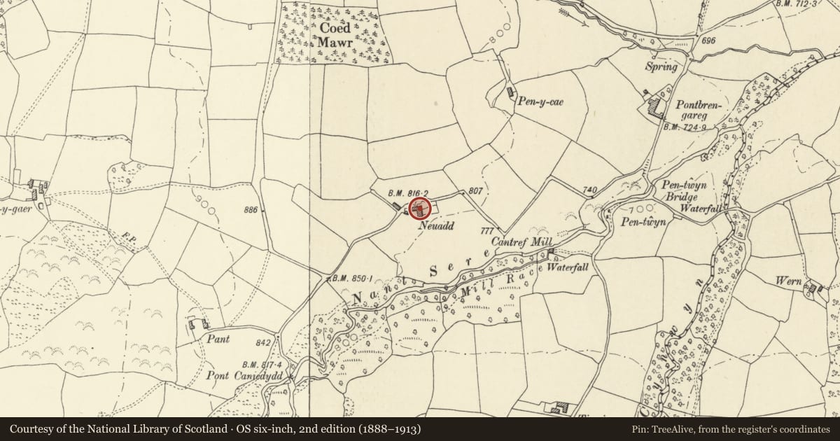Ordnance Survey six-inch map, 2nd edition (1888–1913) covering the location of Neuadd, Llanfrynach, Powys, with a pin at the register's coordinates
