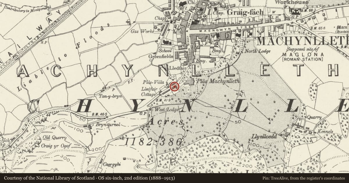 Ordnance Survey six-inch map, 2nd edition (1888–1913) covering the location of Former Coach House and Stables to Plas Machynlleth (Plas Kennels), Powys, with a pin at the register's coordinates