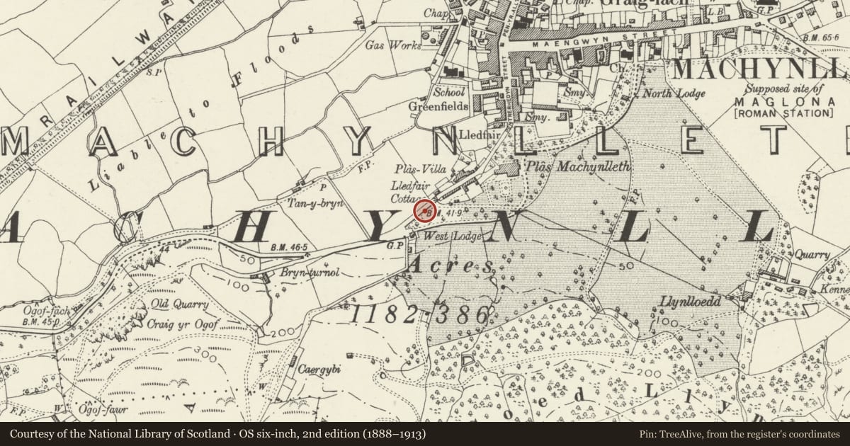 Ordnance Survey six-inch map, 2nd edition (1888–1913) covering the location of Domestic, Machynlleth, Powys, with a pin at the register's coordinates