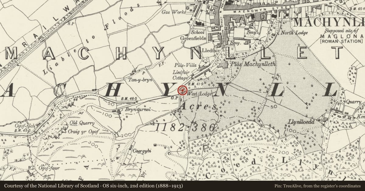 Ordnance Survey six-inch map, 2nd edition (1888–1913) covering the location of Gates and Gatepiers at the SW Entry to Plas Machynlleth Park, Powys, with a pin at the register's coordinates
