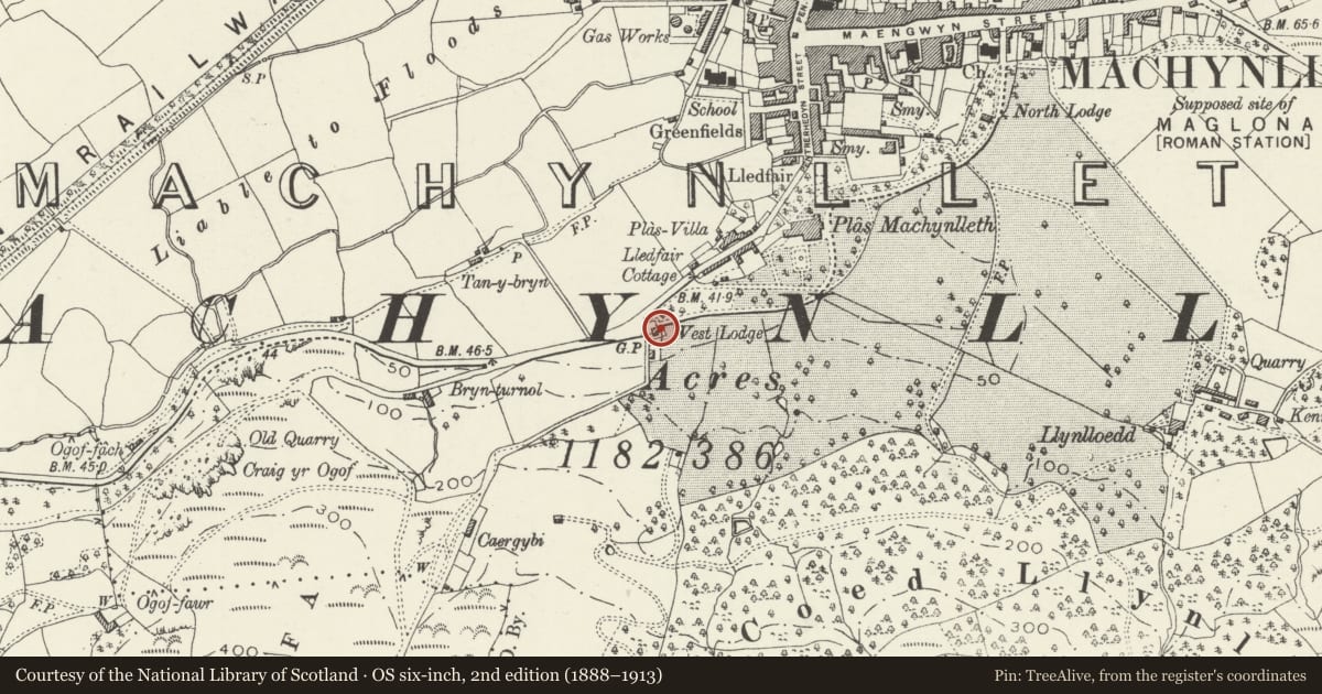 Ordnance Survey six-inch map, 2nd edition (1888–1913) covering the location of Deildy (also known as West Lodge), Machynlleth, Powys, with a pin at the register's coordinates