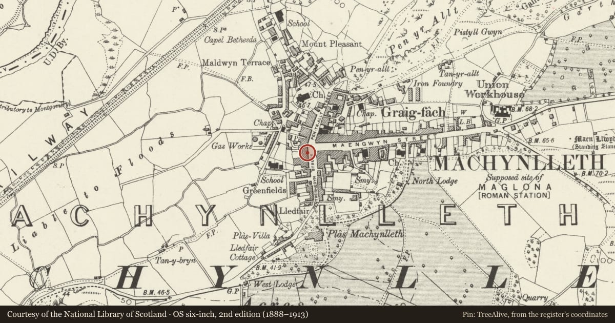 Ordnance Survey six-inch map, 2nd edition (1888–1913) covering the location of No. 6 including The Pharmacy, Machynlleth, Powys, with a pin at the register's coordinates