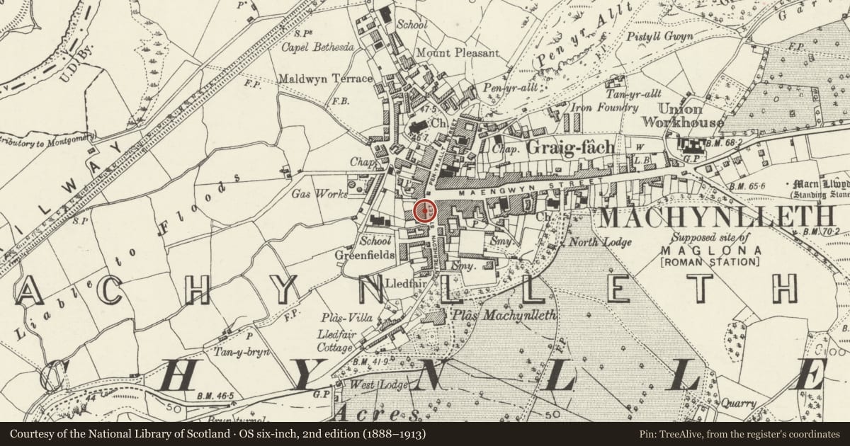 Ordnance Survey six-inch map, 2nd edition (1888–1913) covering the location of White Lion Hotel, Machynlleth, Powys, with a pin at the register's coordinates