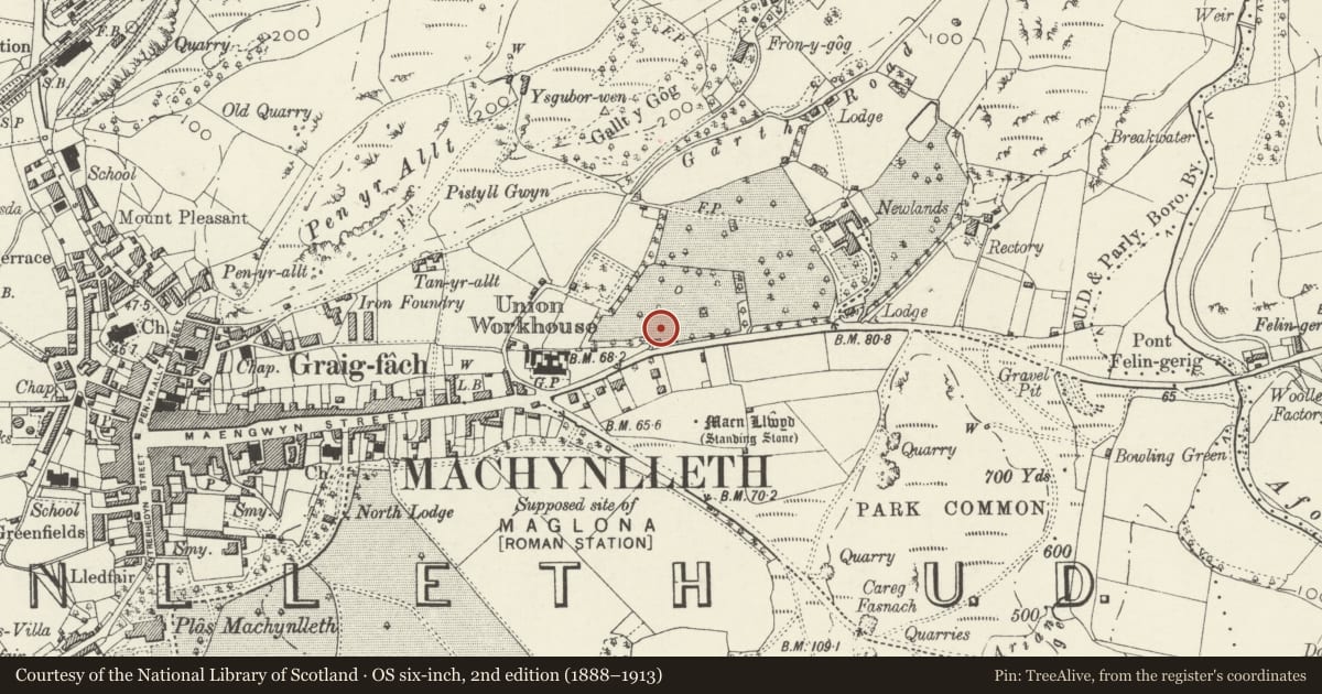 Ordnance Survey six-inch map, 2nd edition (1888–1913) covering the location of Iscoed, Machynlleth, Powys, with a pin at the register's coordinates