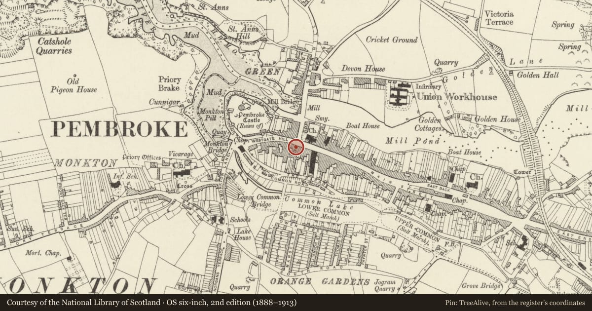 Ordnance Survey six-inch map, 2nd edition (1888–1913) covering the location of Henry's Gift Shop with house over, Pembroke, Pembrokeshire, with a pin at the register's coordinates