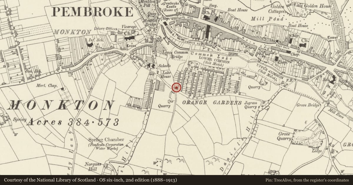 Ordnance Survey six-inch map, 2nd edition (1888–1913) covering the location of 1 South Road, Pembroke, Pembrokeshire, with a pin at the register's coordinates