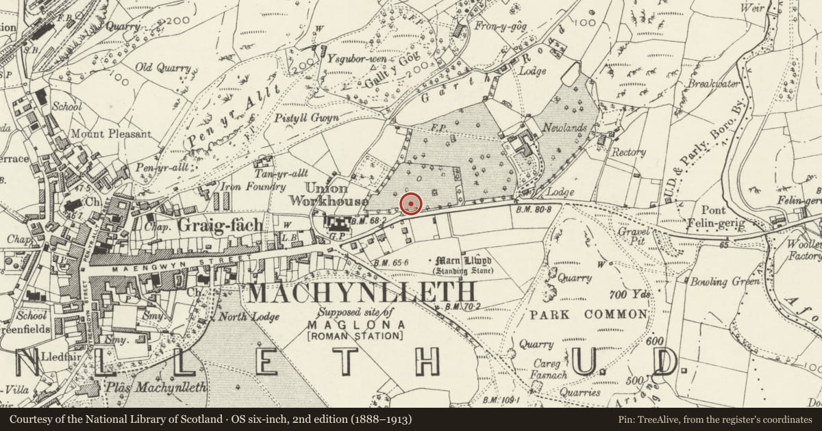 Ordnance Survey six-inch map, 2nd edition (1888–1913) covering the location of Bro Dawel, Machynlleth, Powys, with a pin at the register's coordinates