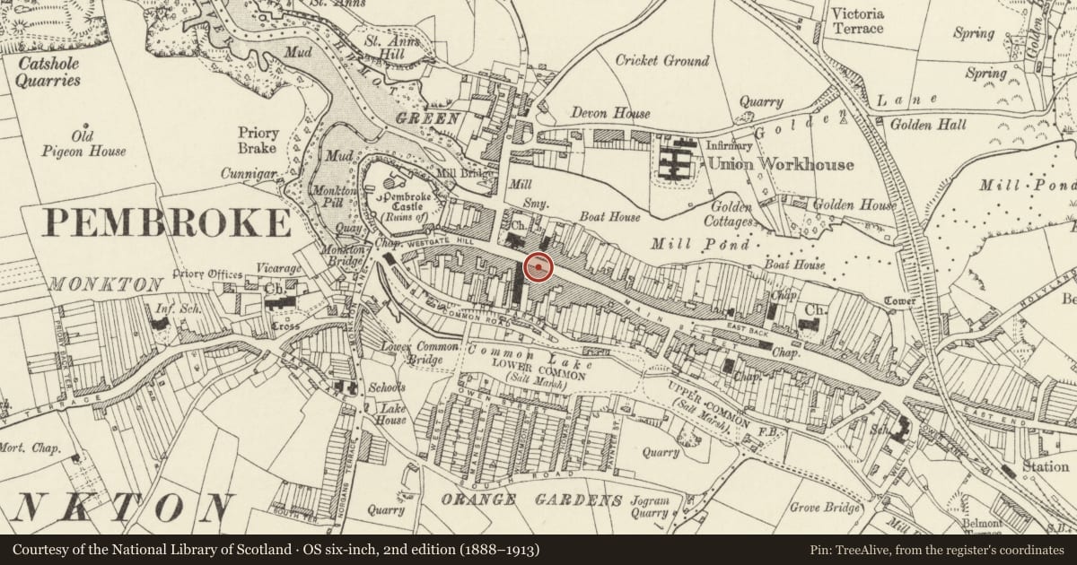 Ordnance Survey six-inch map, 2nd edition (1888–1913) covering the location of Castle Inn, Pembroke, Pembrokeshire, with a pin at the register's coordinates
