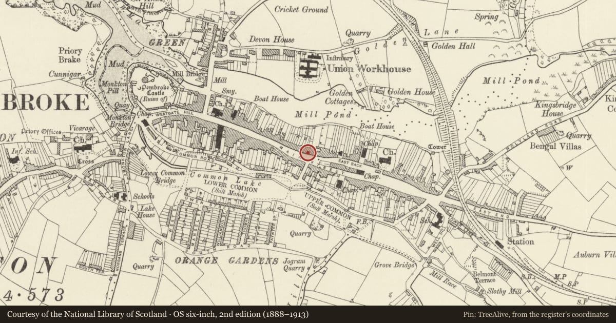 Ordnance Survey six-inch map, 2nd edition (1888–1913) covering the location of Clare Cottage and front railings, Pembroke, Pembrokeshire, with a pin at the register's coordinates