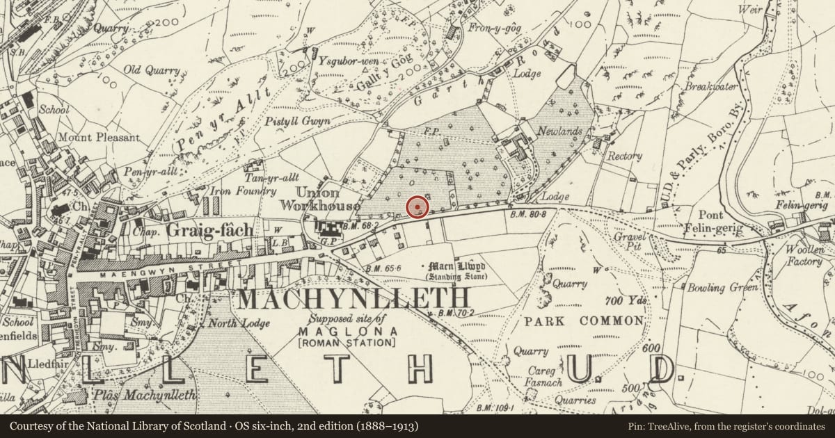 Ordnance Survey six-inch map, 2nd edition (1888–1913) covering the location of Y Gorlan, Machynlleth, Powys, with a pin at the register's coordinates