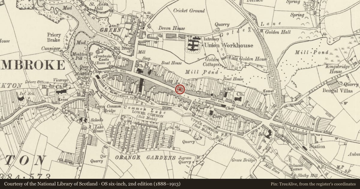 Ordnance Survey six-inch map, 2nd edition (1888–1913) covering the location of Shaftesbury House, forecourt wall and rails and house to left, Pembroke, Pembrokeshire, with a pin at the register's coordinates
