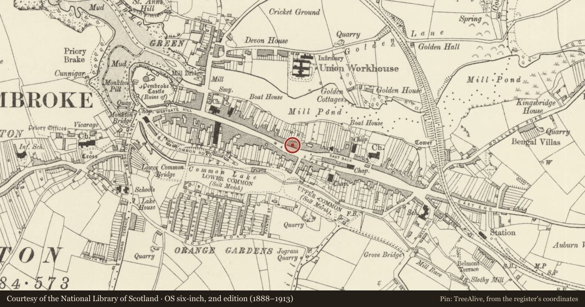 Ordnance Survey six-inch map, 2nd edition (1888–1913) covering the location of Marven House and forecourt wall and railings, Pembroke, Pembrokeshire, with a pin at the register's coordinates