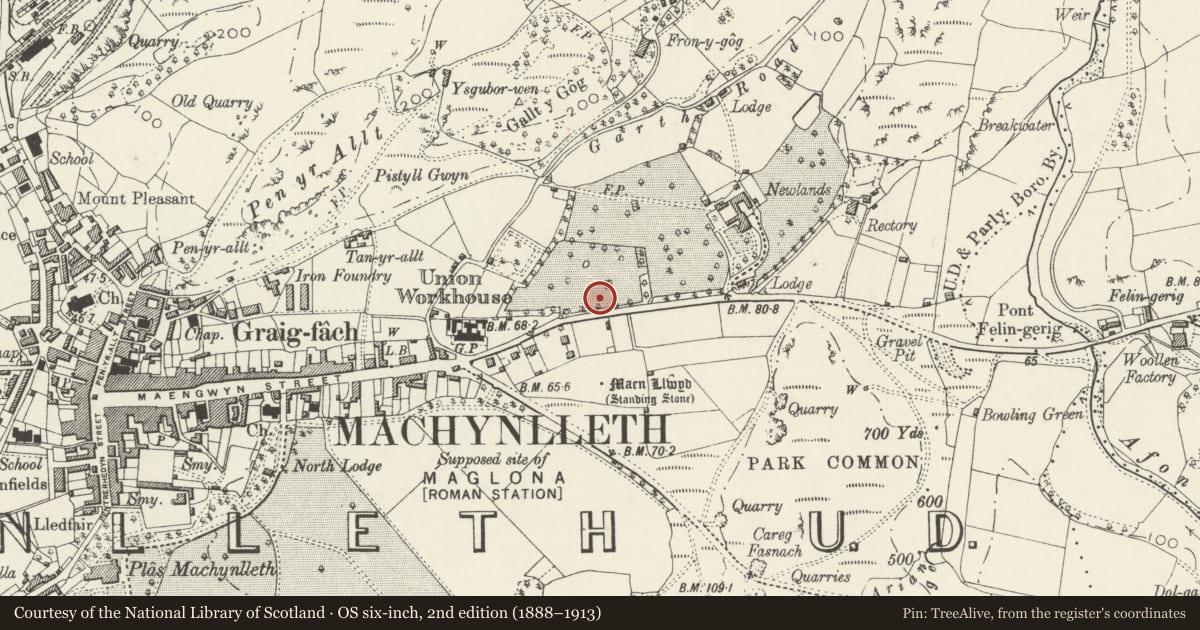Ordnance Survey six-inch map, 2nd edition (1888–1913) covering the location of Craigwen, Machynlleth, Powys, with a pin at the register's coordinates