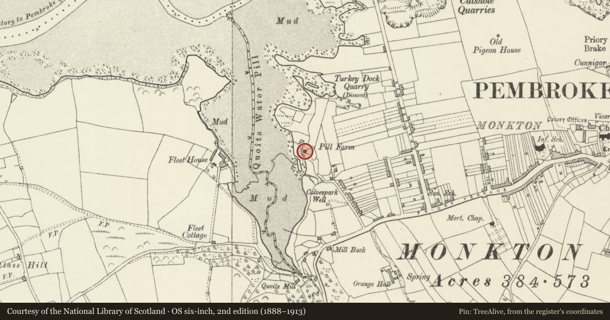 Ordnance Survey six-inch map, 2nd edition (1888–1913) covering the location of NW lime kiln at Pill Farm, Pembroke, Pembrokeshire, with a pin at the register's coordinates