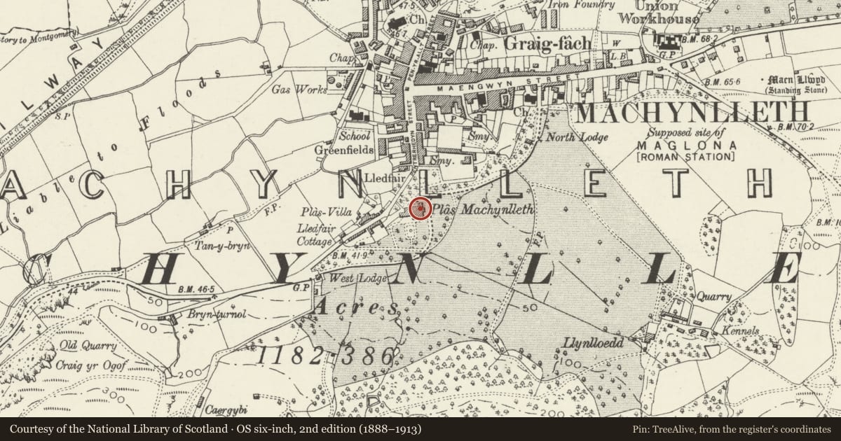 Ordnance Survey six-inch map, 2nd edition (1888–1913) covering the location of Plas Machynlleth, Powys, with a pin at the register's coordinates