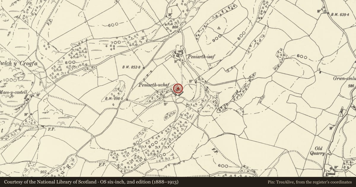 Ordnance Survey six-inch map, 2nd edition (1888–1913) covering the location of Peniarth Uchaf, Meifod, Powys, with a pin at the register's coordinates