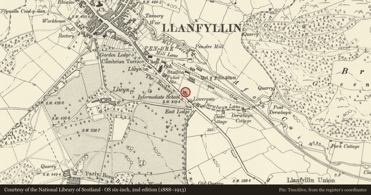 Ordnance Survey six-inch map, 2nd edition (1888–1913) covering the location of Former County Intermediate School, Llanfyllin, Powys, with a pin at the register's coordinates