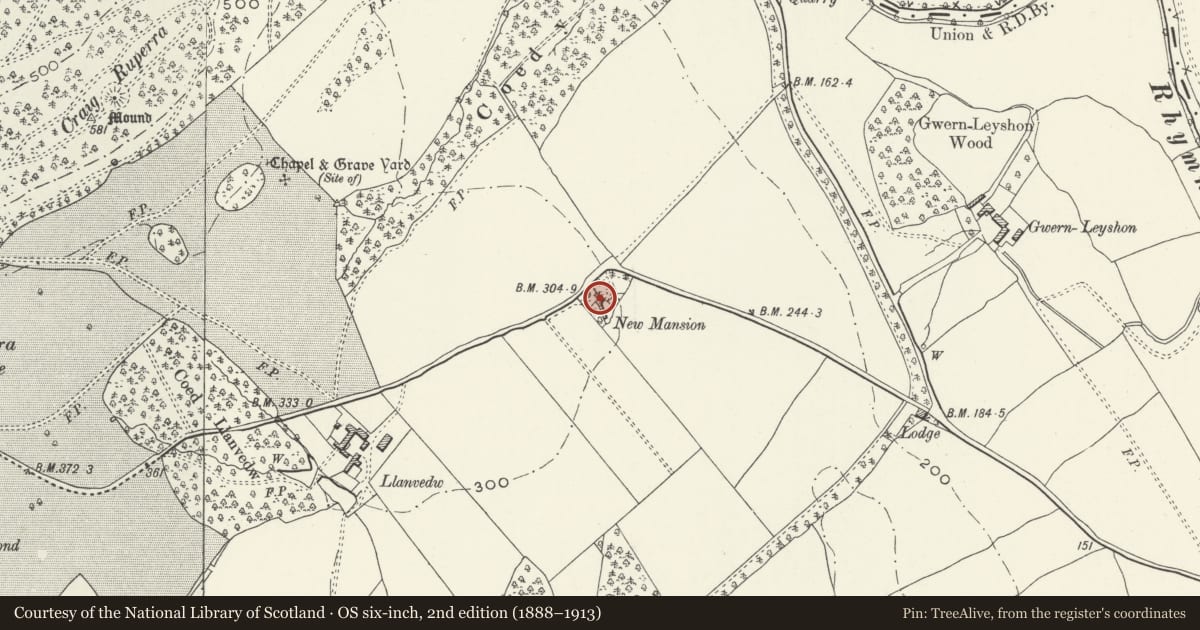 Ordnance Survey six-inch map, 2nd edition (1888–1913) covering the location of 'New Mansion' at Ruperra Home Farm, Rudry, Caerphilly, with a pin at the register's coordinates