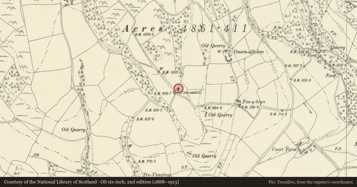 Ordnance Survey six-inch map, 2nd edition (1888–1913) covering the location of Pen-castell, Aberedw, Powys, with a pin at the register's coordinates