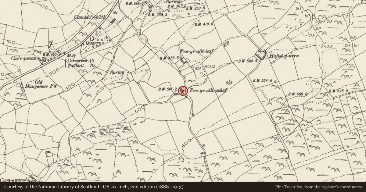 Ordnance Survey six-inch map, 2nd edition (1888–1913) covering the location of Pen yr allt uchaf, Clynnog, Gwynedd, with a pin at the register's coordinates