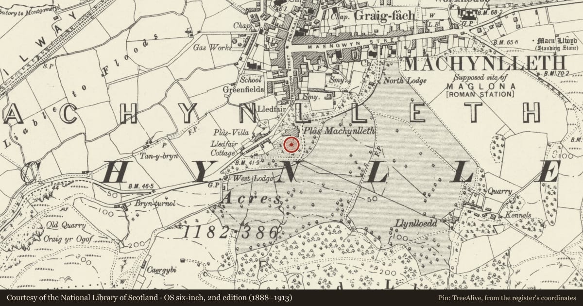 Ordnance Survey six-inch map, 2nd edition (1888–1913) covering the location of Fountain in the Gardens of Plas Machynlleth, Powys, with a pin at the register's coordinates