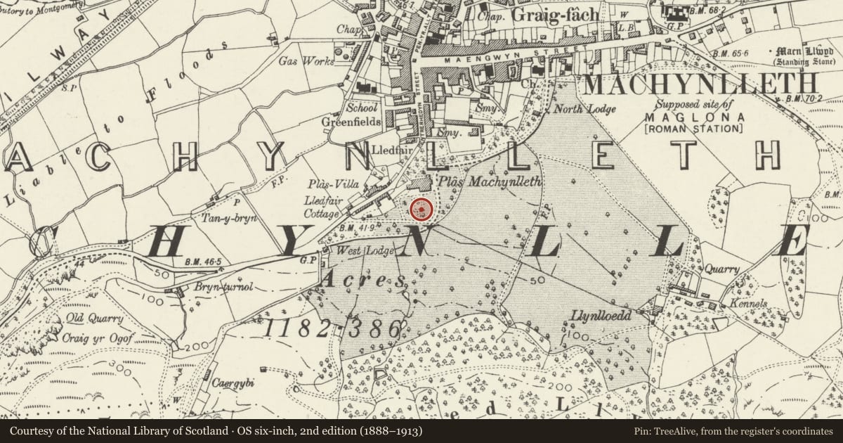 Ordnance Survey six-inch map, 2nd edition (1888–1913) covering the location of Pedestal and Bust of Marchioness ofLondonderry in the gardens of Plas Machynlleth, Powys, with a pin at the register's coordinates