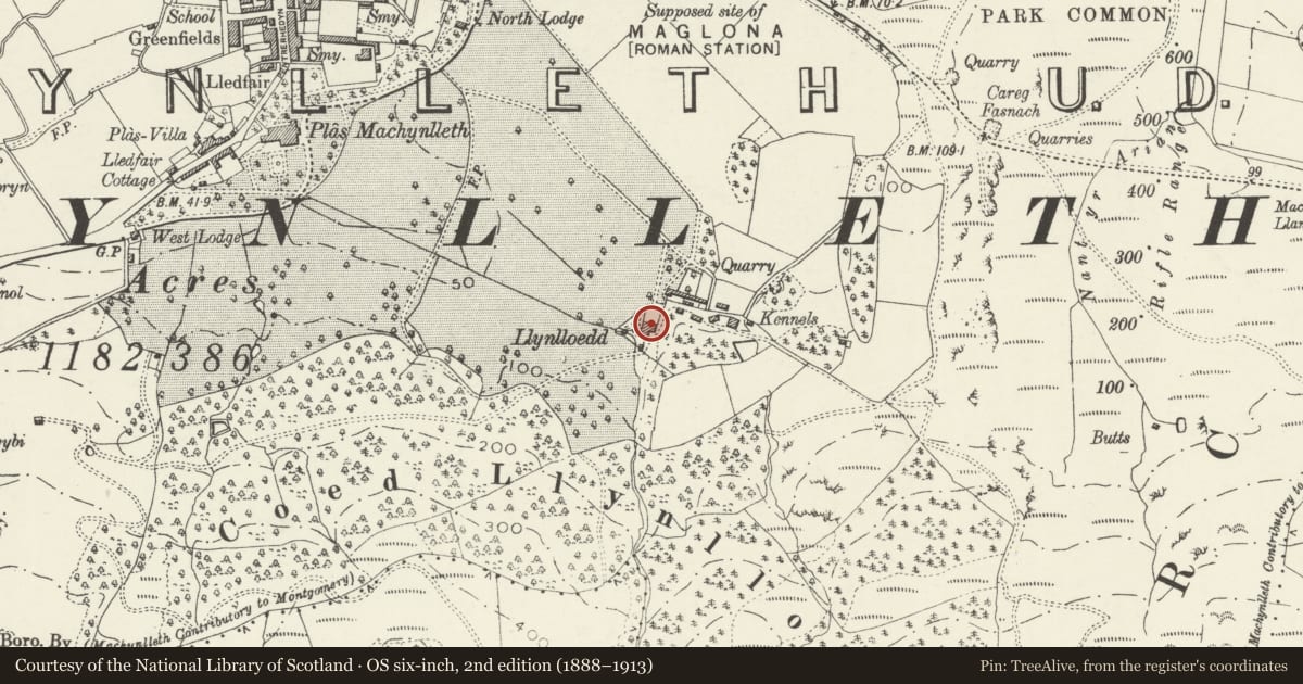 Ordnance Survey six-inch map, 2nd edition (1888–1913) covering the location of Llynlloedd, Machynlleth, Powys, with a pin at the register's coordinates