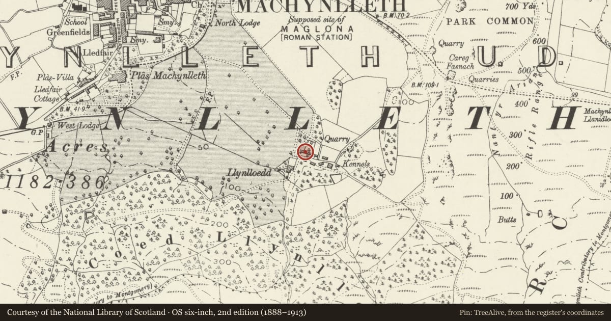 Ordnance Survey six-inch map, 2nd edition (1888–1913) covering the location of Hammel at Llynlloedd, including Cattle yard to front, Machynlleth, Powys, with a pin at the register's coordinates