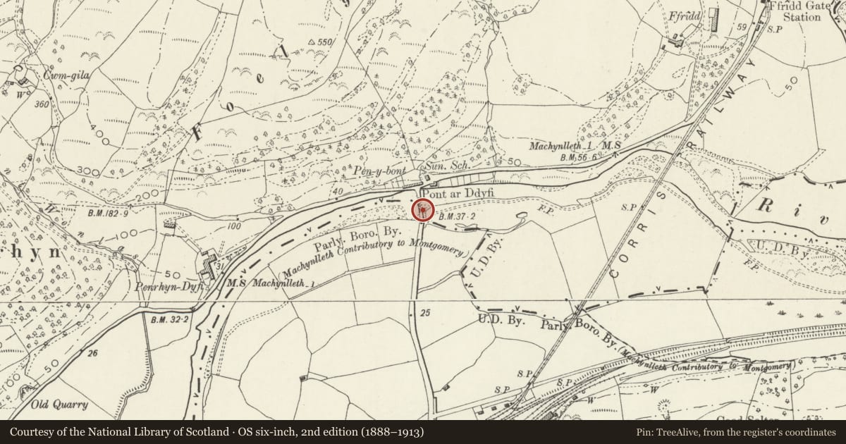 Ordnance Survey six-inch map, 2nd edition (1888–1913) covering the location of Pont-ar-Dyfi (Partly in Corris community), Machynlleth, Powys, with a pin at the register's coordinates