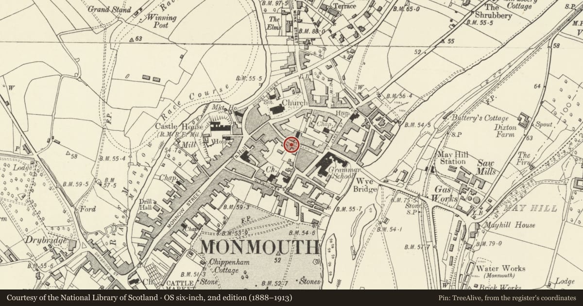 Ordnance Survey six-inch map, 2nd edition (1888–1913) covering the location of 23 St. Mary's Street, including attached railings, Monmouth, Monmouthshire, with a pin at the register's coordinates