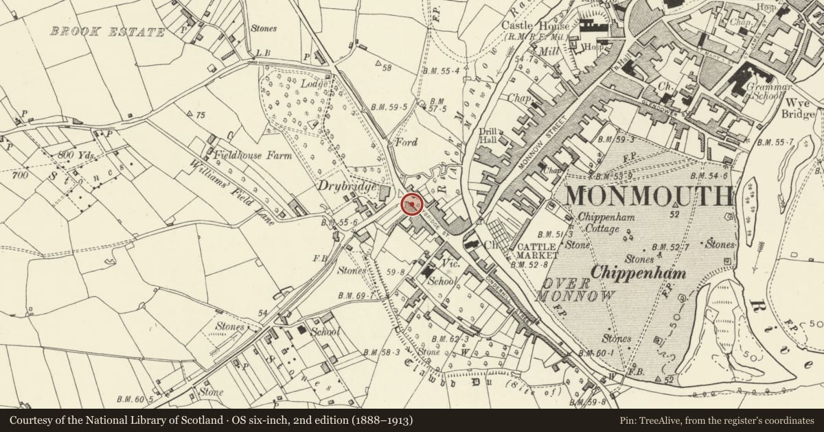 Ordnance Survey six-inch map, 2nd edition (1888–1913) covering the location of 28 Drybridge Street, Monmouth, Monmouthshire, with a pin at the register's coordinates