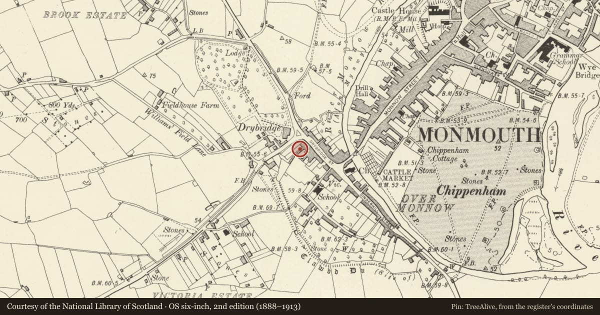 Ordnance Survey six-inch map, 2nd edition (1888–1913) covering the location of 3 Drybridge Terrace, Monmouth, Monmouthshire, with a pin at the register's coordinates