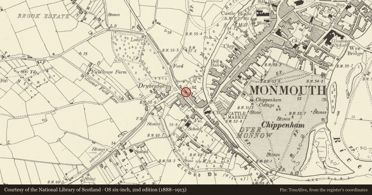 Ordnance Survey six-inch map, 2nd edition (1888–1913) covering the location of 31 Drybridge Street, Monmouth, Monmouthshire, with a pin at the register's coordinates