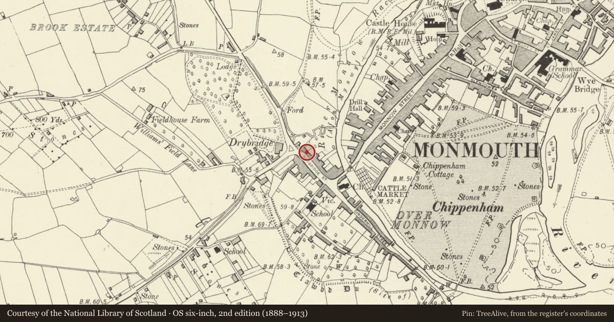 Ordnance Survey six-inch map, 2nd edition (1888–1913) covering the location of 33 Drybridge Street, Monmouth, Monmouthshire, with a pin at the register's coordinates