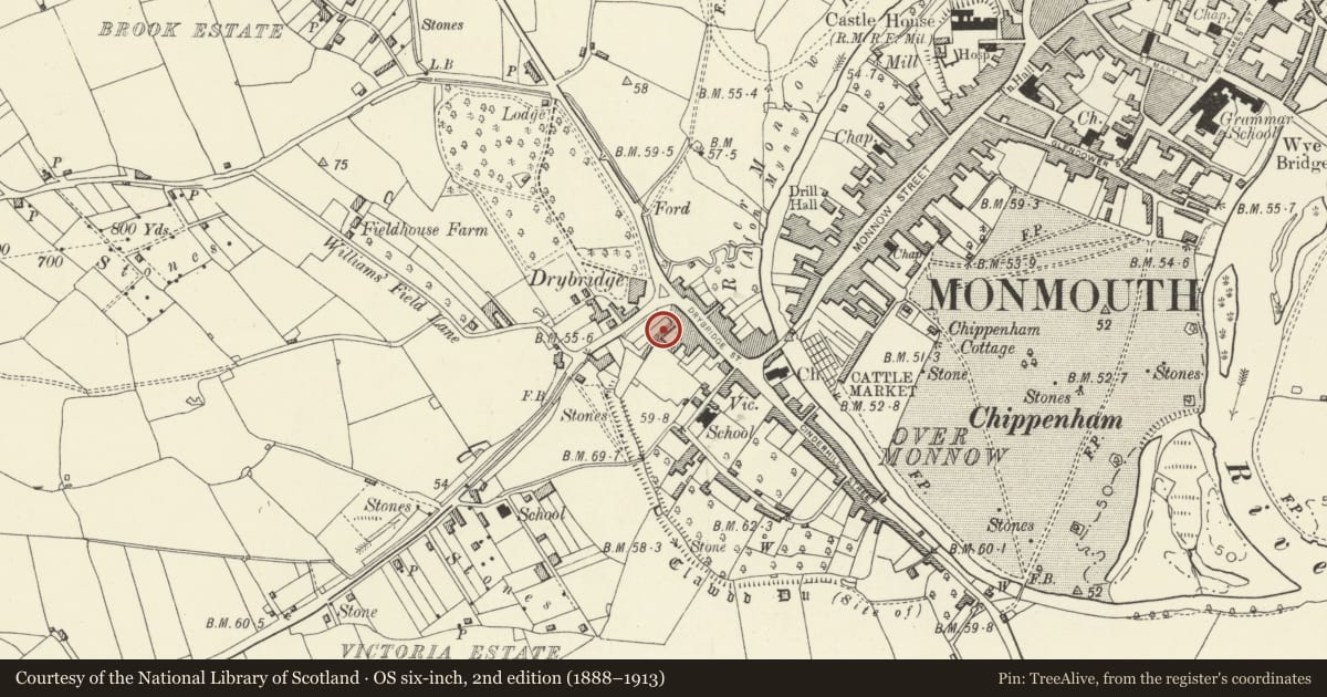 Ordnance Survey six-inch map, 2nd edition (1888–1913) covering the location of 4 Drybridge Terrace, Monmouth, Monmouthshire, with a pin at the register's coordinates
